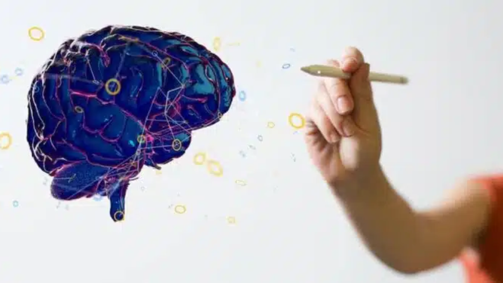 neuroeducacion-860x371.jpg