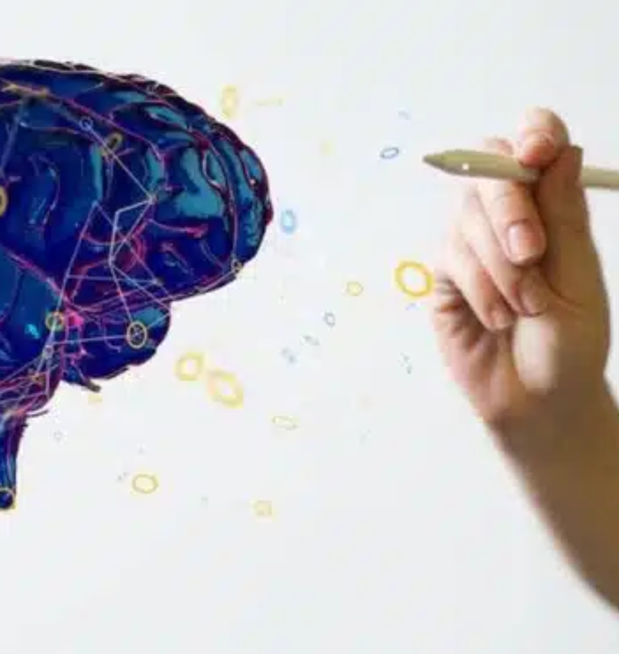 neuroeducacion-860x371.jpg