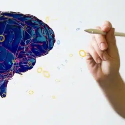 neuroeducacion-860x371.jpg